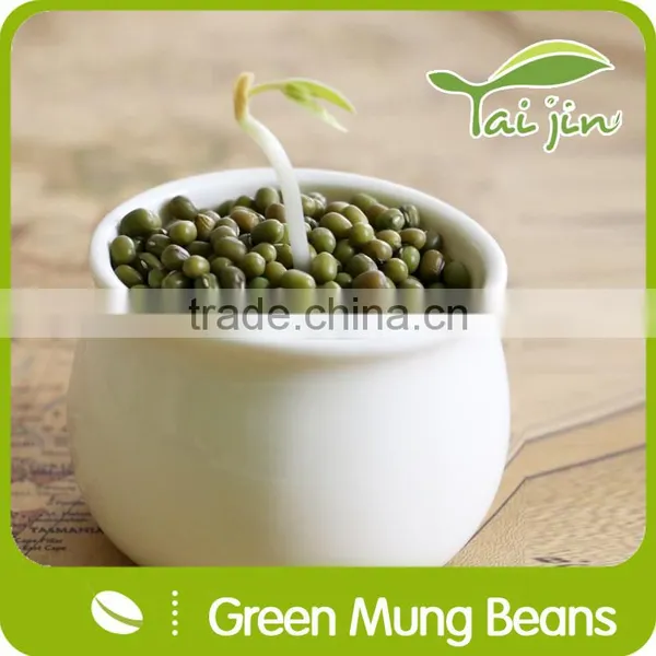 2015 New Crop Food Grade Green Mung Bean From China photo-3