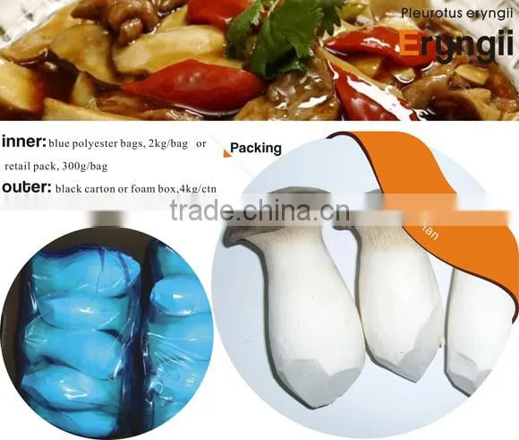 Dried Pleurotus Eryngii Mushroom Manufacturer in China photo-4