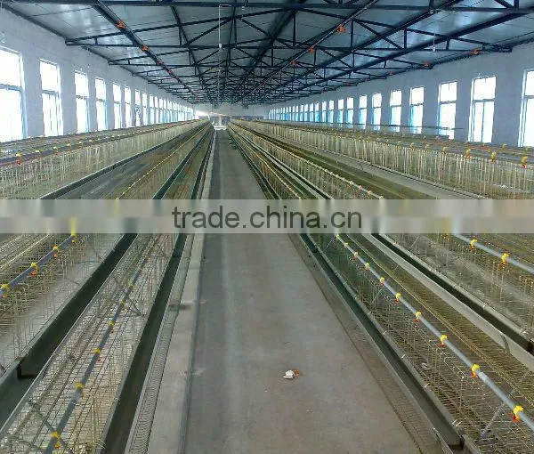 Pullet Cages