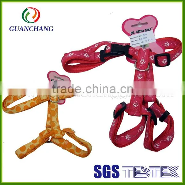 Hot New Women Who Engage in Dog Pet Products 2015 photo-4