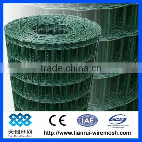 PVC Coated Holland Wire Mesh Fence Manufacturer&Exporter photo-4