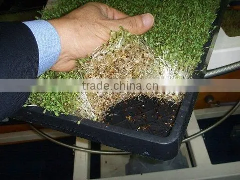BK Conveyor Culture photo-4