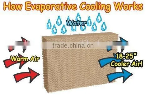 Hot Selling Evaporative Cooling Pad photo-4