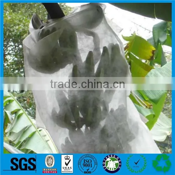 Non Woven Fabric for Frost Protection photo-5