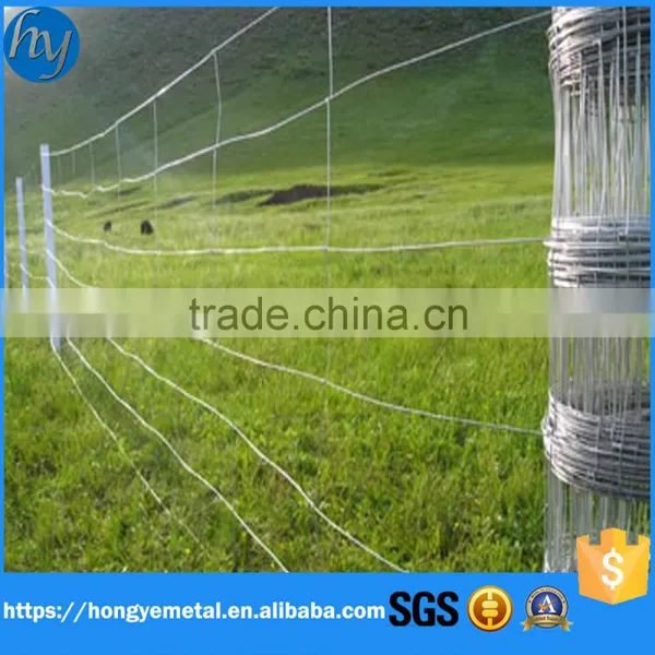 Welded Wire Mesh Prices/welded Wiremesh Export Abroad photo-2