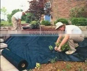PP Woven Weed Control Mat ,weed Barrier, Ground Cover photo-4