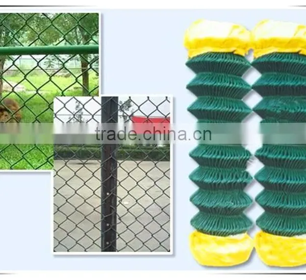 Guangzhou Supply Galvanized Chain Link Wire Netting photo-5
