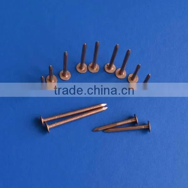 Copper Square Boat Nails photo-2