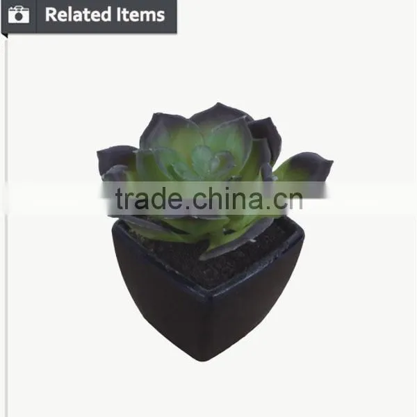 Mini Decorative Home and Office Table Potted Succulent Plant photo-5