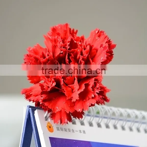 Fresh Valentine Red Carnations With Low Price Fresh Cut Carnation Flower High Quality photo-3