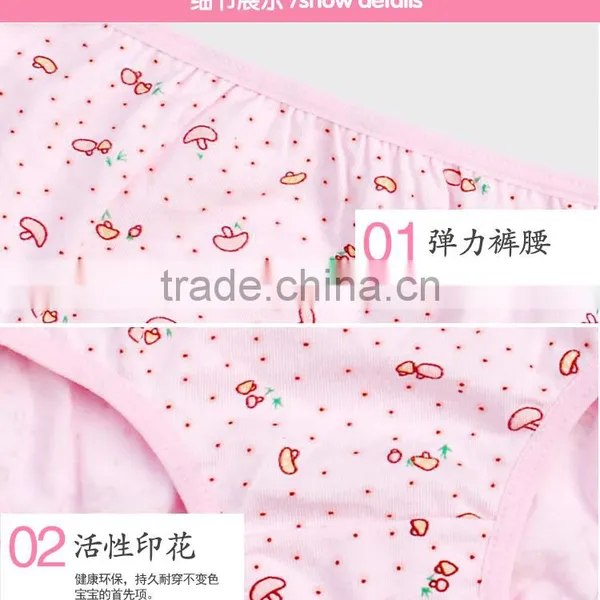 Lovely Girl's Brief Children Underwear Kid Panties photo-6
