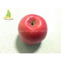 Fresh Apples Wholesales