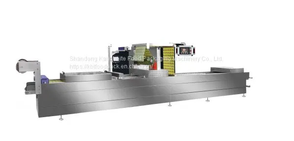 Thermoforming packing machine DRZ520 Automatic packaging machine for food