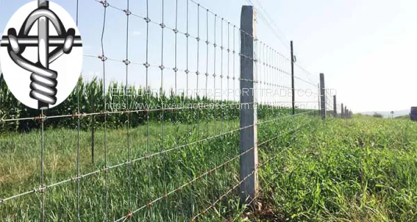 China Supply Field&farm Fixed Knot Woven Wire Mesh Fence photo-2