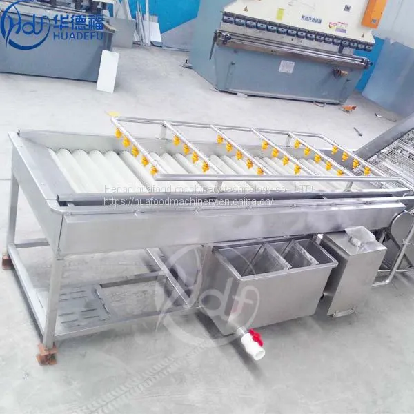 Vegetable Celery Washing Machine Fruit Apple Cleaning Equipment