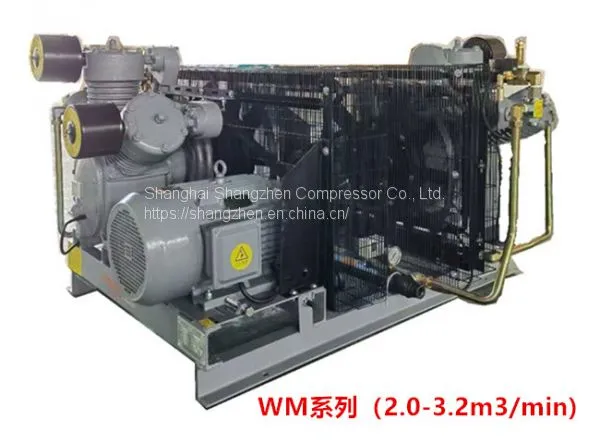 Laser Cutting Special Medium and High Pressure Air Compressor photo-2