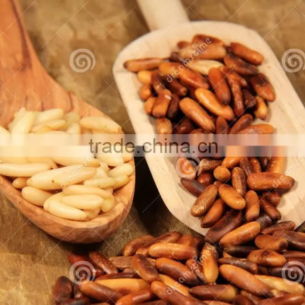 pine nut in shell