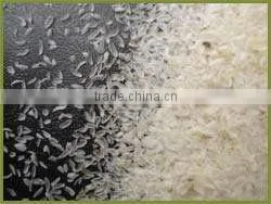 Plantago Extract
