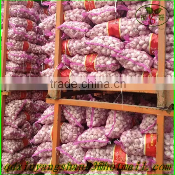 2015 NEW GARLIC/Fresh Garlic/White Garlic/china Garlic photo-4