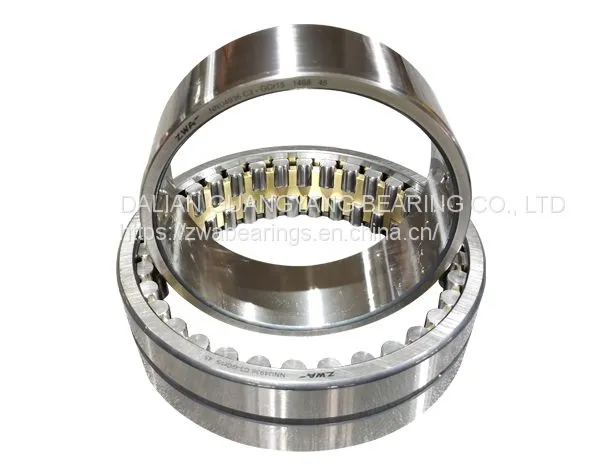 Double Row Cylindrical Roller Bearing
