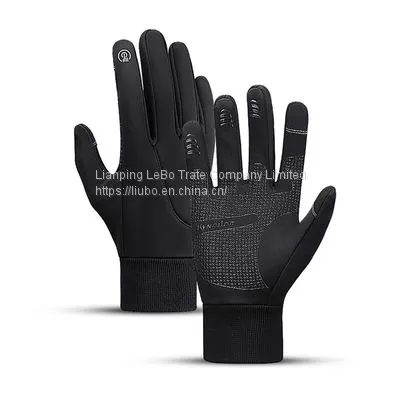 Gloves Winter Ski Gloves