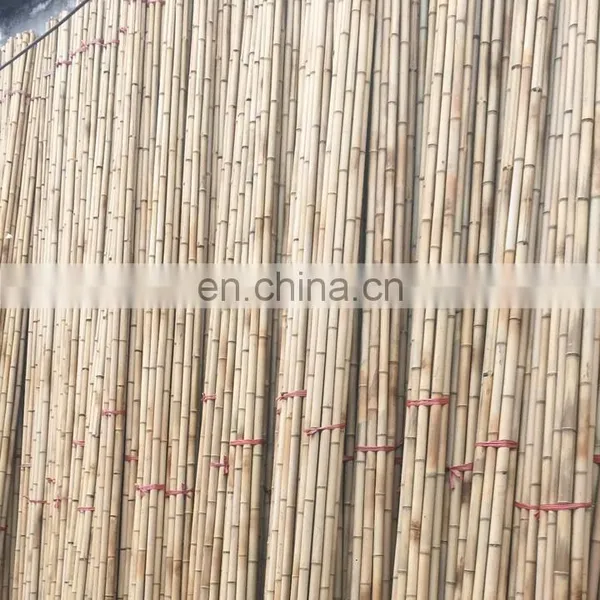 Wholesale Competitive Price Top A Grade Natural Bamboo for Indoor/ Outdoor Furniture From Viet Nam Factory