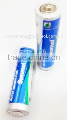 Custom Dry Cell Battery photo-2