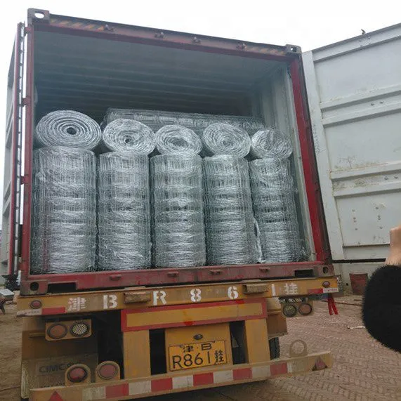 Made in China High Tensile Low Price Wire Galvanized Cattle Fence Farm Fencing Field Fence photo-6