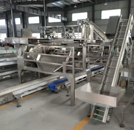 Automatic Canning Sliced Pineapple Strips Chunks Chips Process Production Line Making Machine photo-2