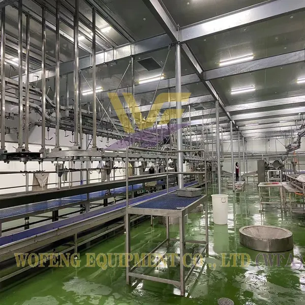 1000 Sheep Per Day Goat Slaughtering Equipment Muslim Halal Lamb Abattoir Machinery Butcher Machine Mutton Processing Factory photo-2