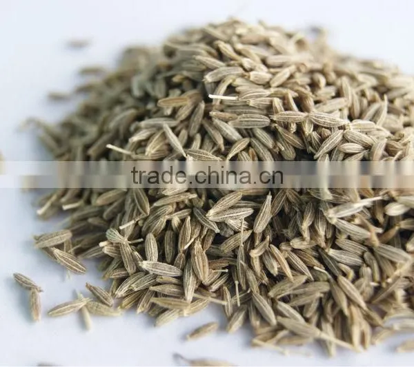 Cumin Seeds