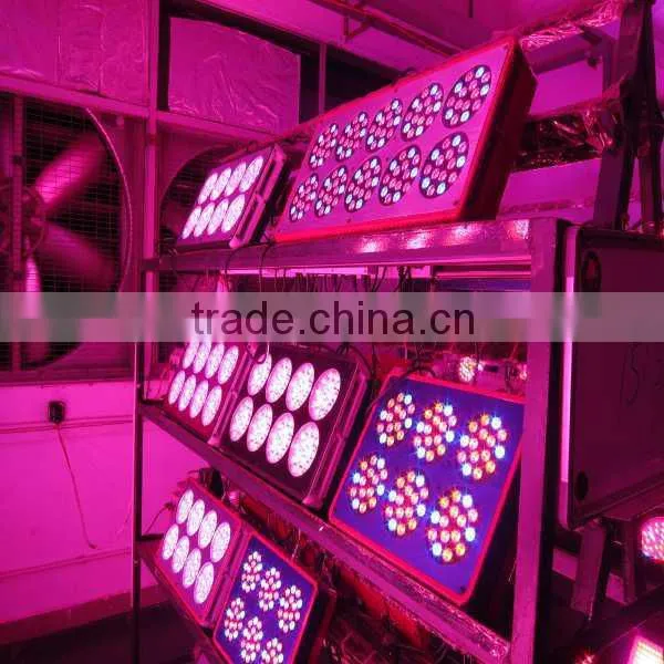 Hangzhou Factory CE ROHS 337w LED Grow Lamp photo-4