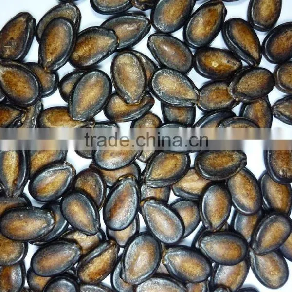 Melon Seeds