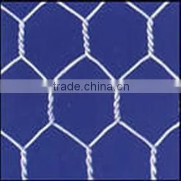 Cheap Chicken Rabbit Galvanized Hexagonal Wire Mesh photo-2