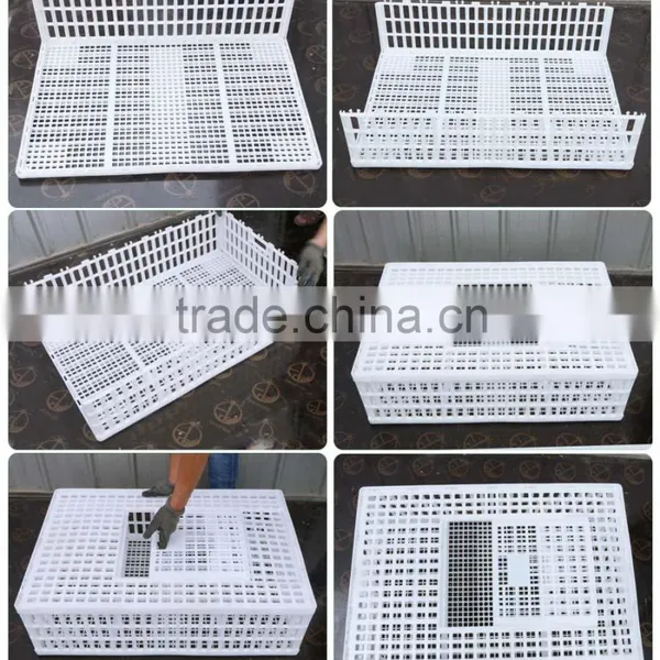 New Polyethylene China White Quail Cages for Sale photo-5