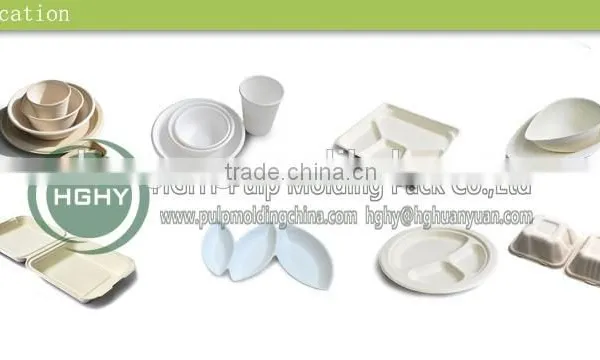 Disposable Paper Dish Pulp Molding Machine by HGHY photo-2