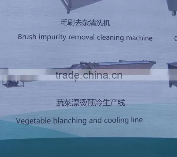 beetroot fruit and vegetable processing line/fruits vegetables processing line