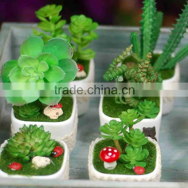 Home Garden Decoration Artificial Succulent Pots Wholesale Bonsai Pot photo-2