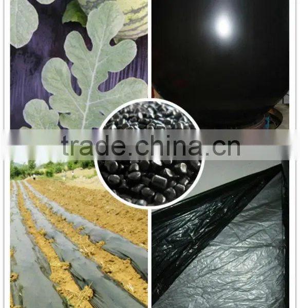 Black Masterbatch for All Kind of High Quality Film