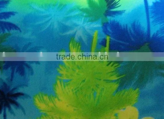 Printed Spandex Fabric