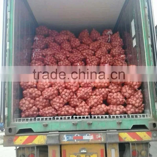Superior Fresh Red Onion From Onion Exporters China photo-2