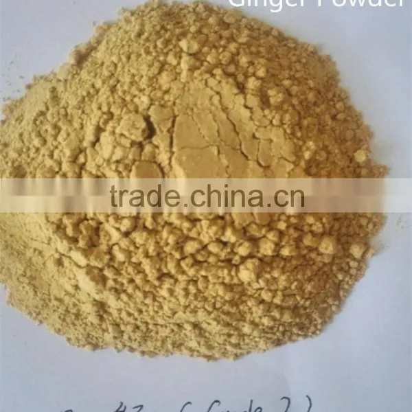 Grade A Ginger Powder From Chinese Factory Low Price photo-2