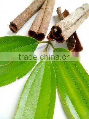 Cinnamon Leaf Oil photo-3