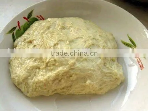 Vital Wheat Gluten for Food Additives