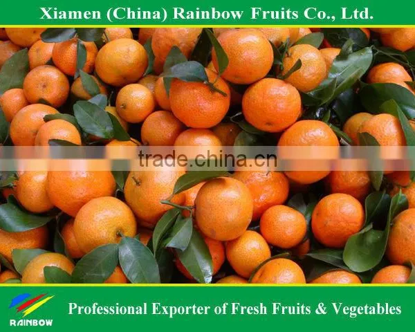 Shatang Mandarin