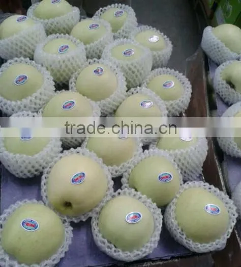 New Crop 2015 Delicious Golden Apple photo-4