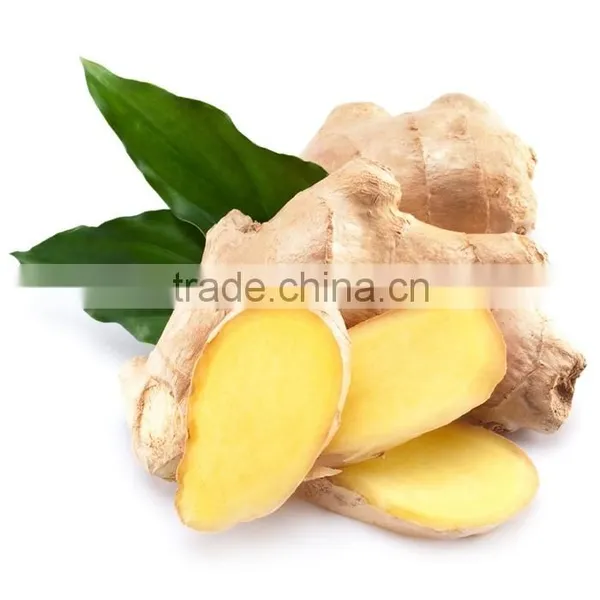 Bulk Common Cultivation Fresh Ginger photo-3