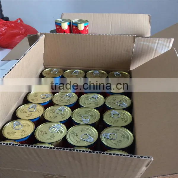NEW CROP TOMATO PASTE photo-2
