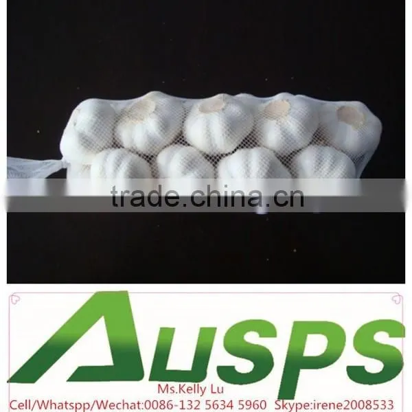 Chinese Garlic photo-5