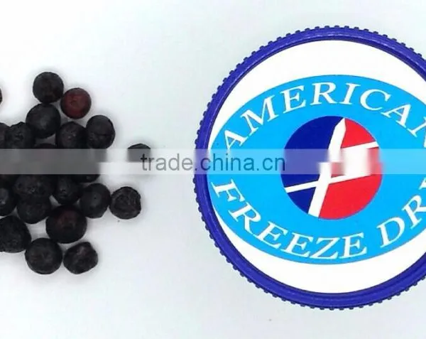 Freeze Dried Whole Blueberry, Large or Small- Emergency Survival Dried Food photo-2